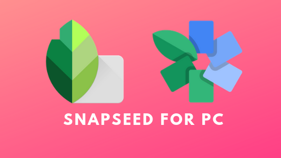 Snapseed For Pc